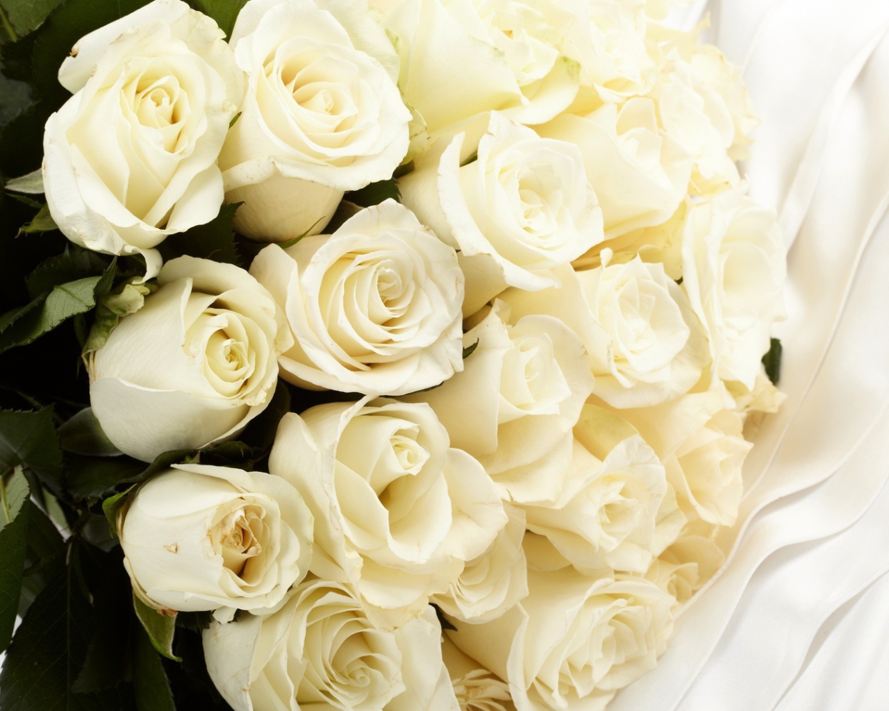 White roses in a bouquet for the bride