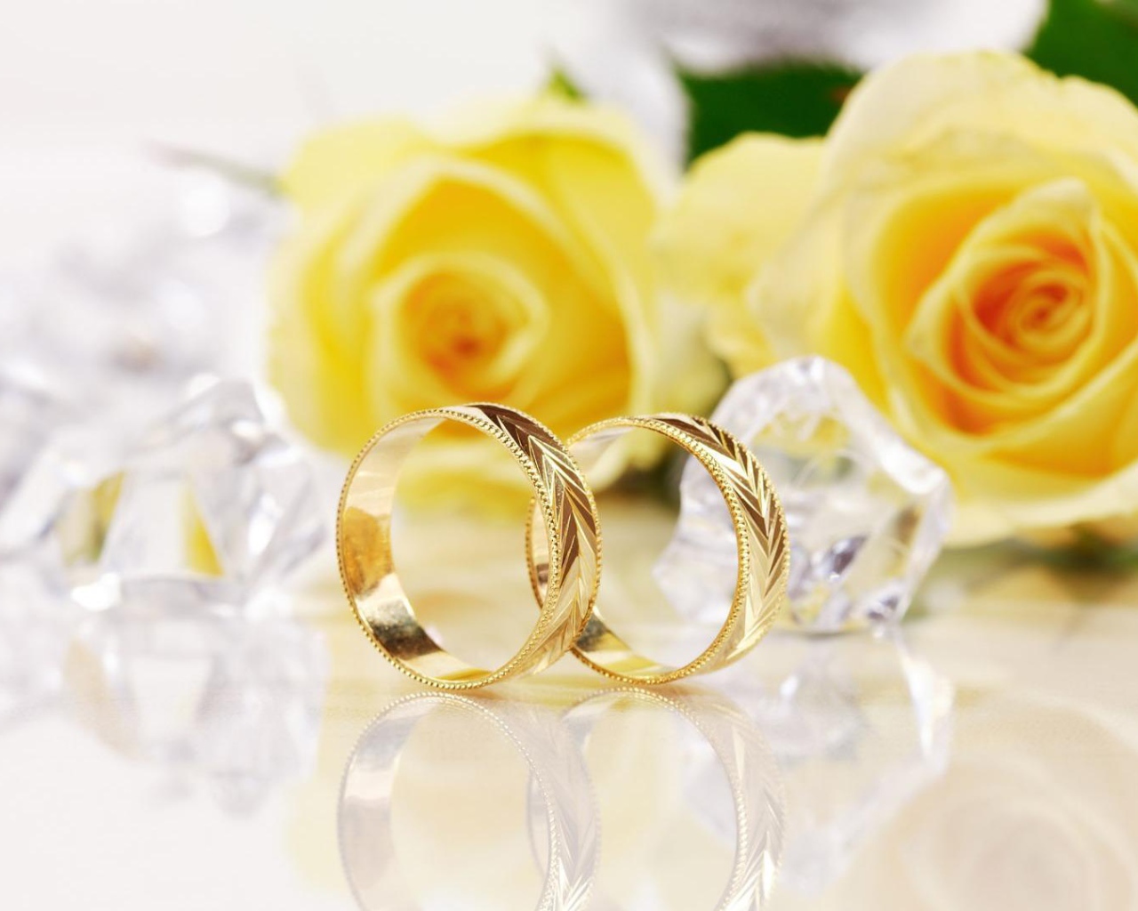 Жёлтые розы и золотые свадебные кольца