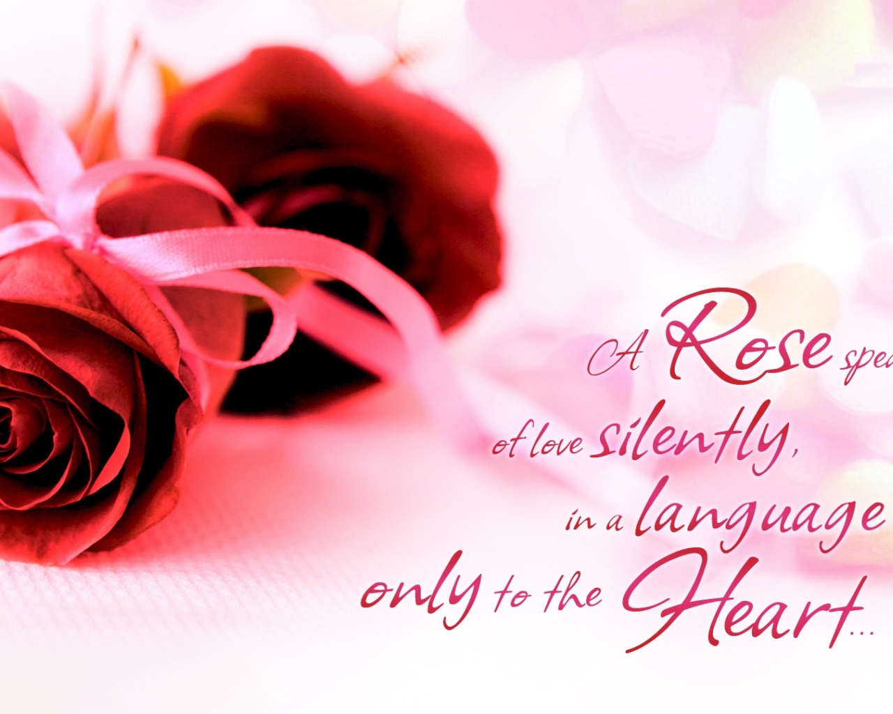 Красные розы и красивые слова о любви