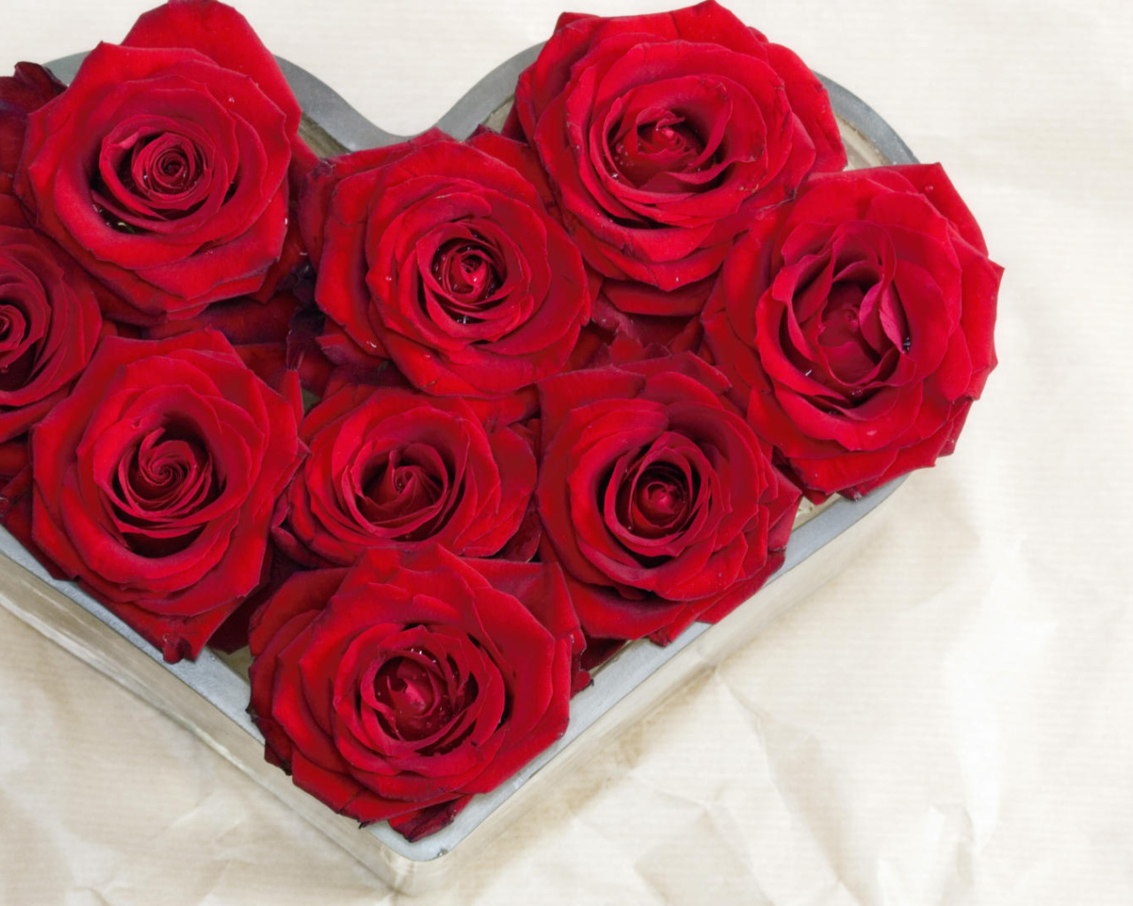 Красные розы в виде признания в любви