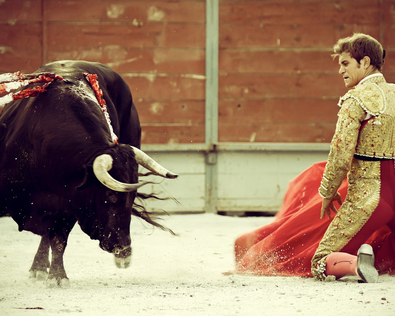 Бык и торреодор