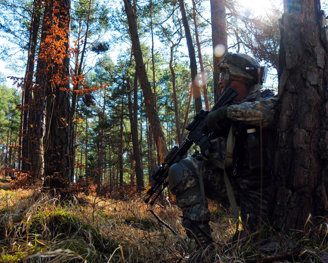 Солдат прячется за деревом