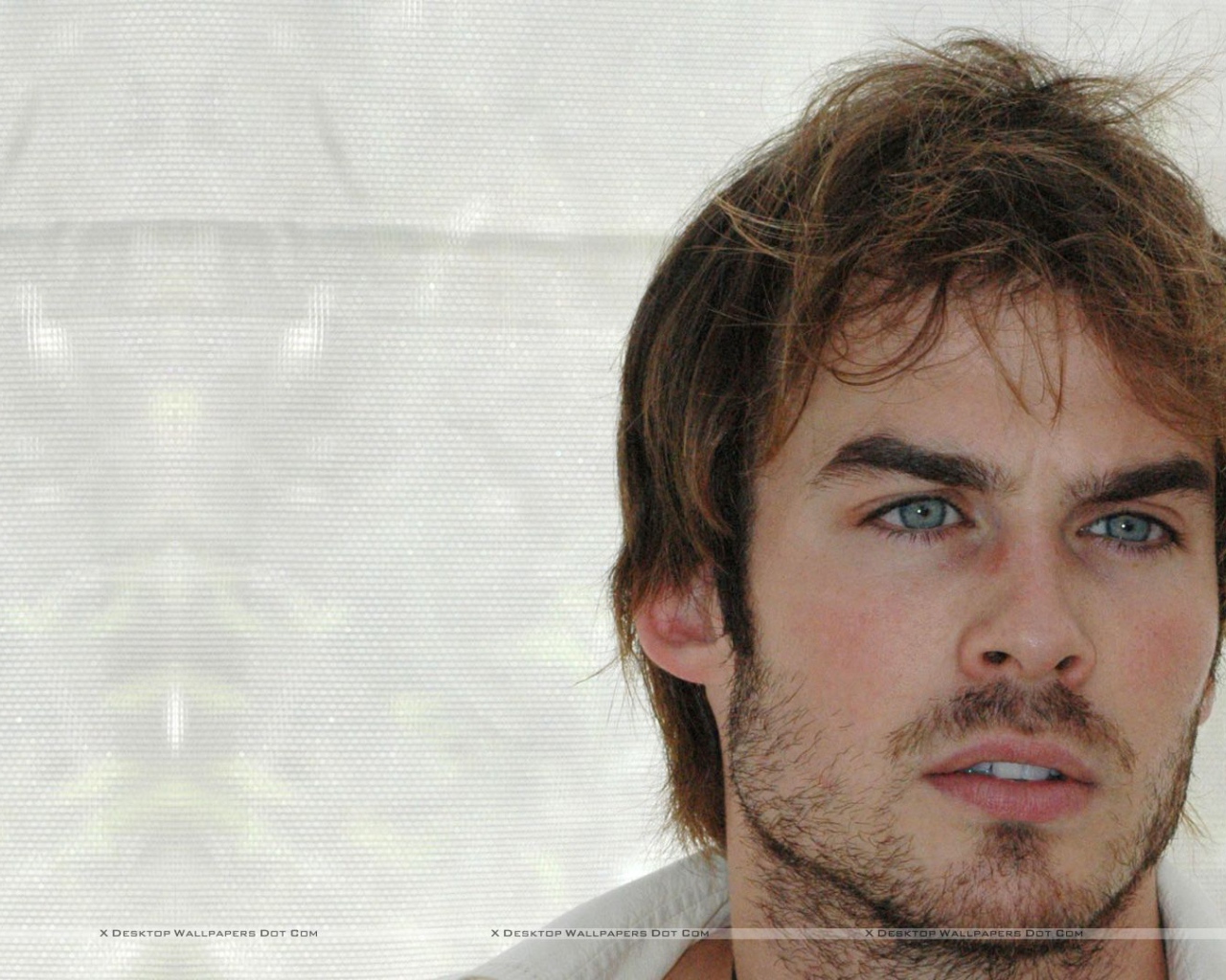 Кинозвезда Йен Сомерхолдер