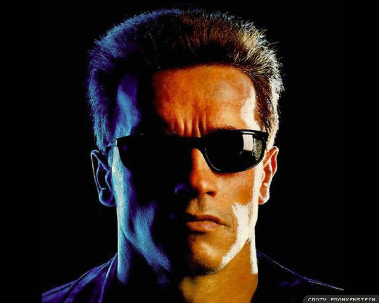 Popular Arnold Schwarzenegger