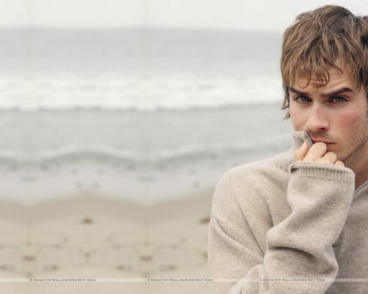 Популярный голливудская кинозвезда Йен Сомерхолдер