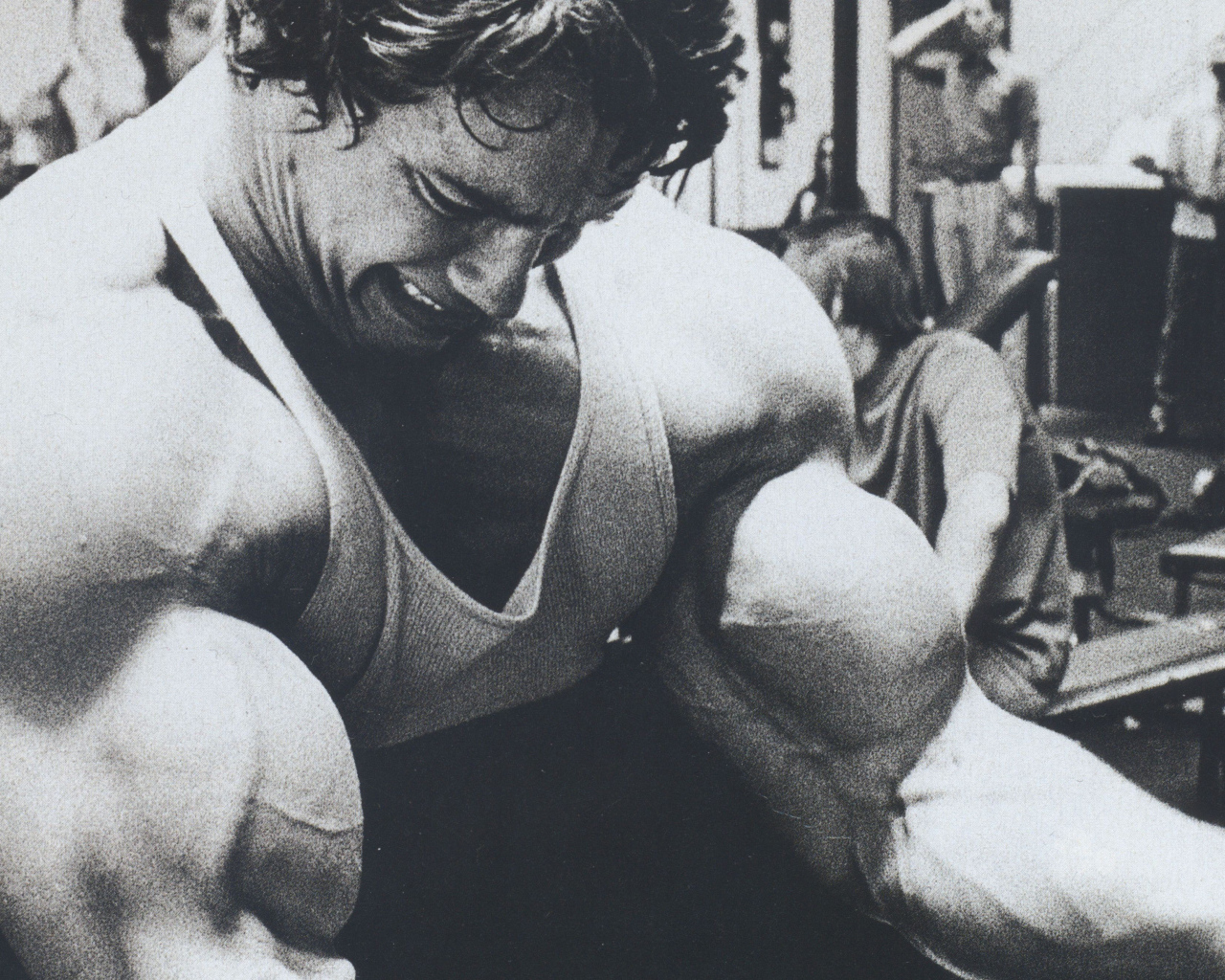 Бицепсы Арнольда