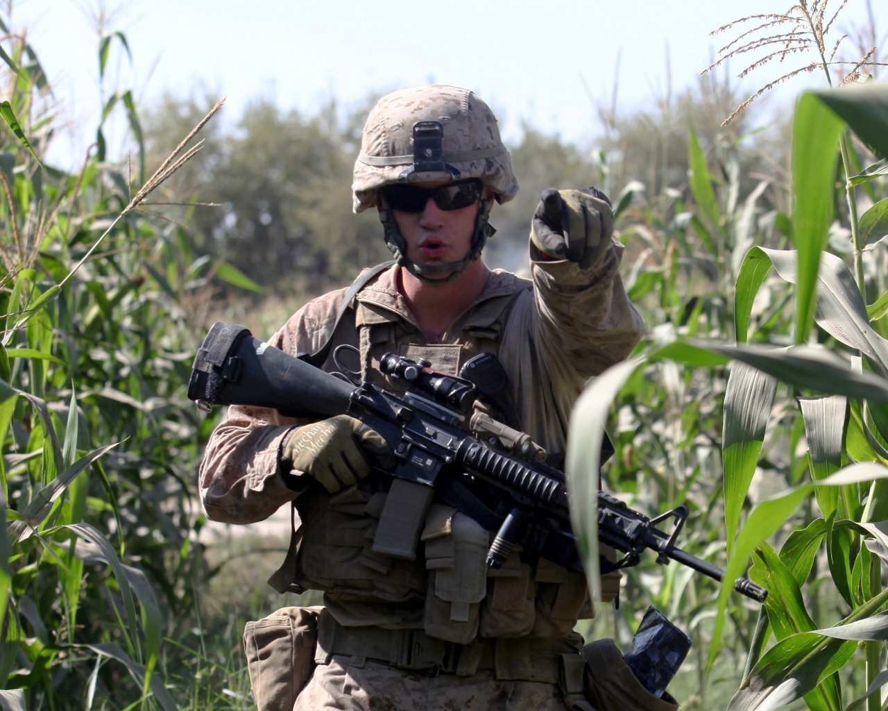 Солдат на кукурузном поле
