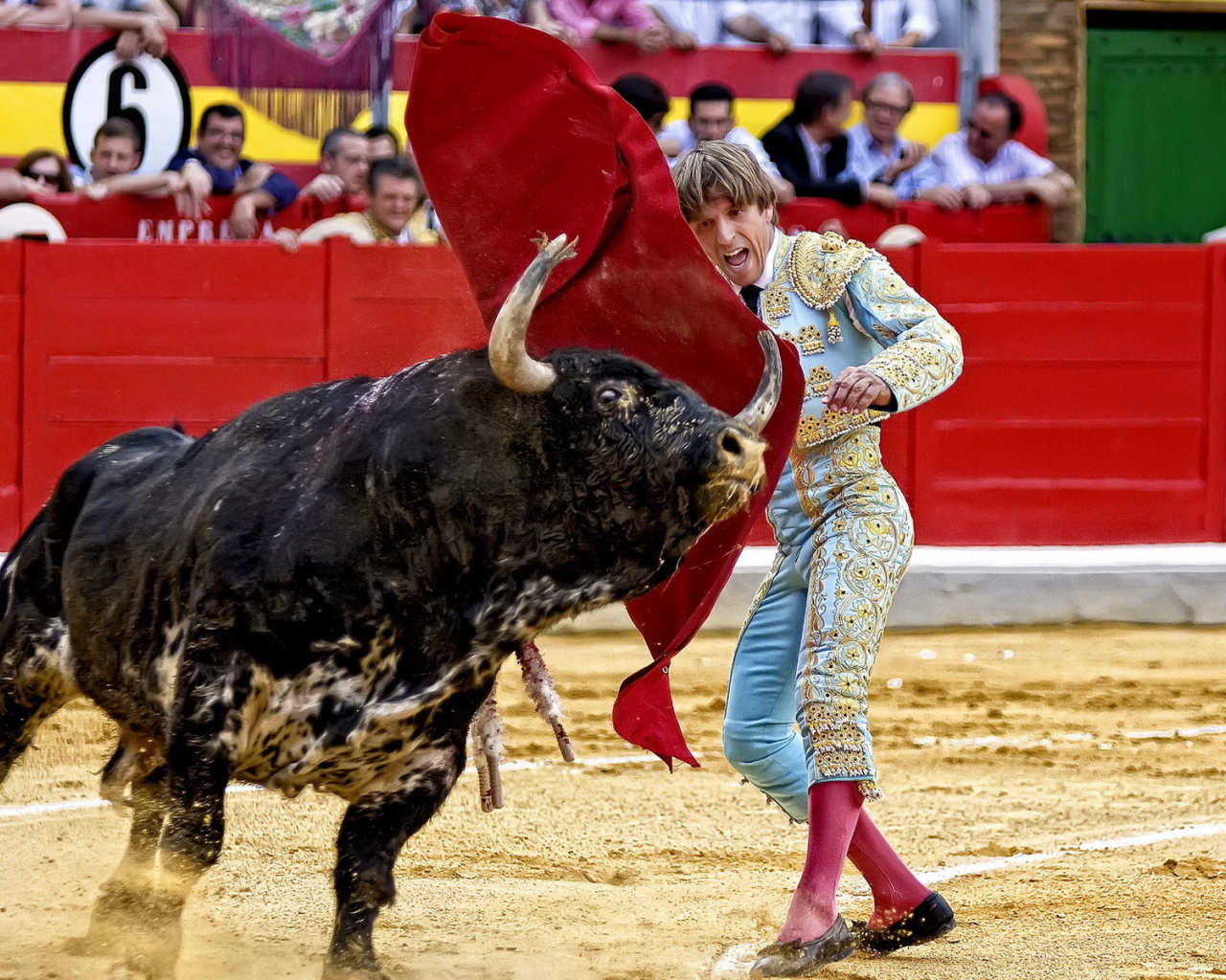 Испанский торреодор