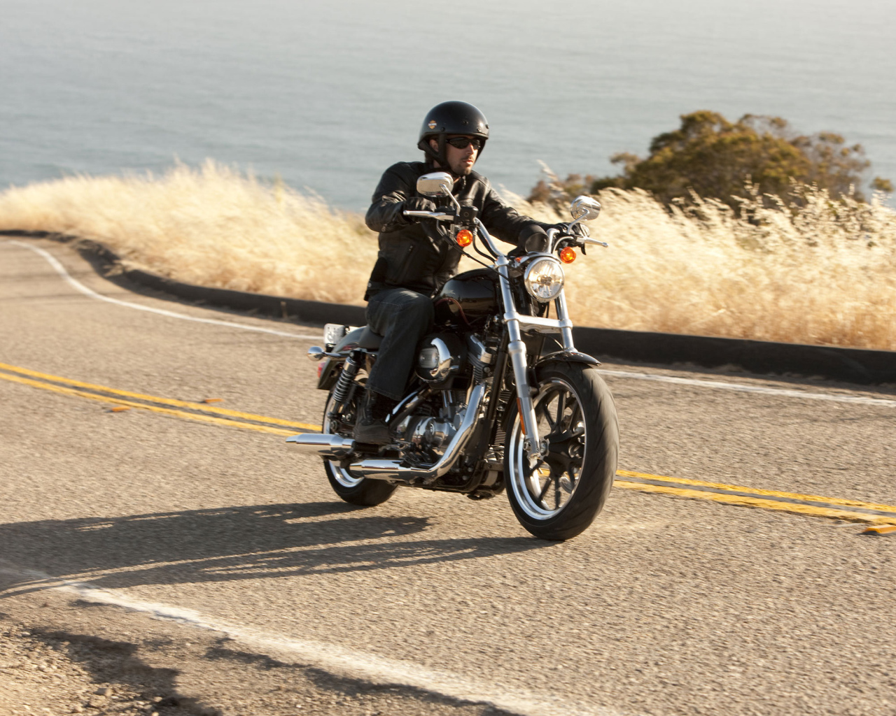 Невероятный мотоцикл Harley-Davidson XL 883L Sportster