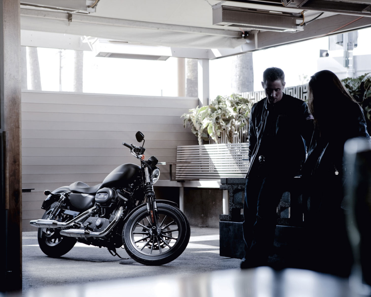 Невероятный мотоцикл Harley-Davidson XL 883N Sportster Iron