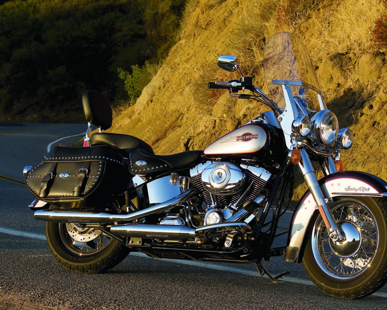 Невероятно быстрый мотоцикл Harley-Davidson Heritage Softail