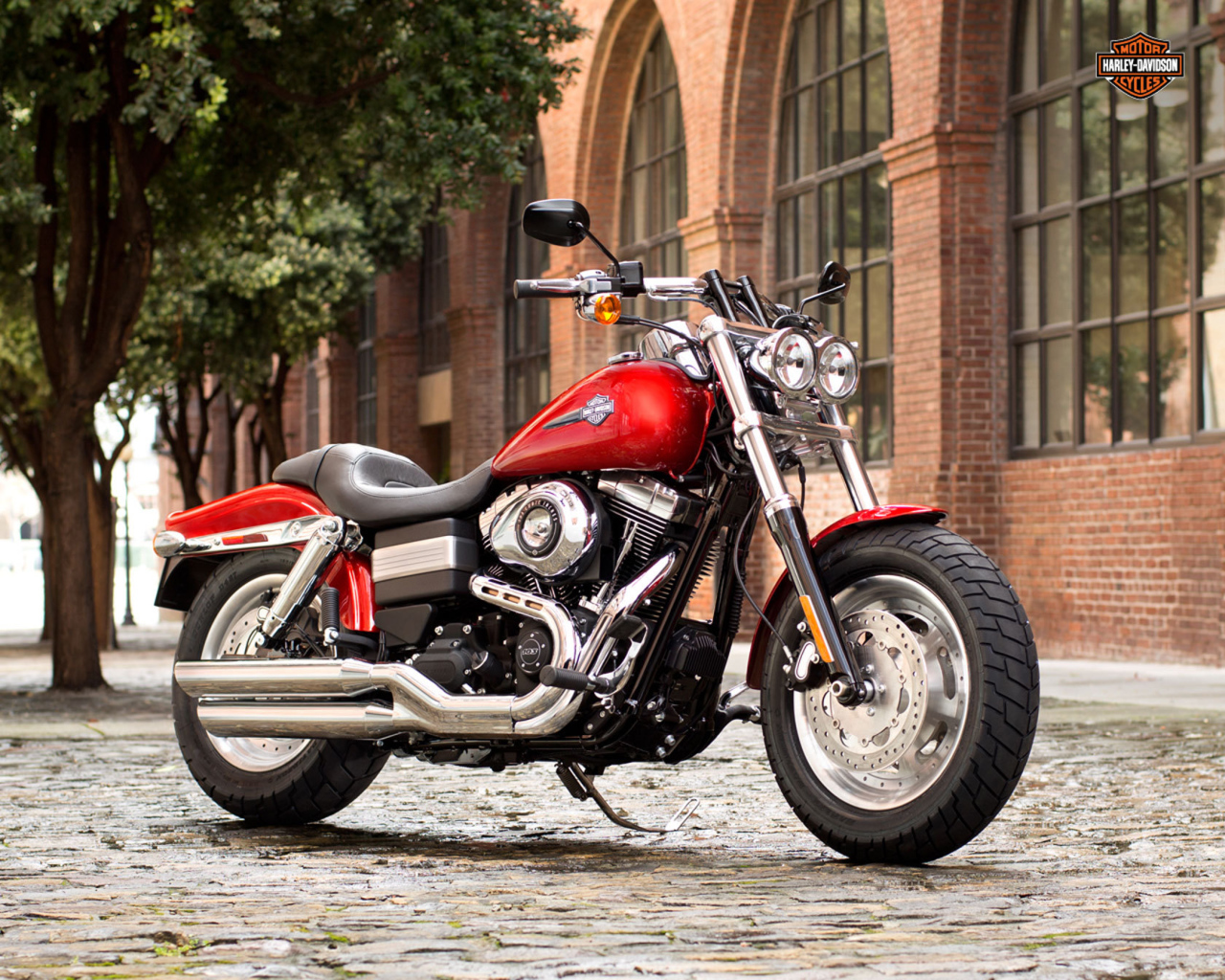 Новый мотоцикл на дороге Harley-Davidson Dyna Fat Bob
