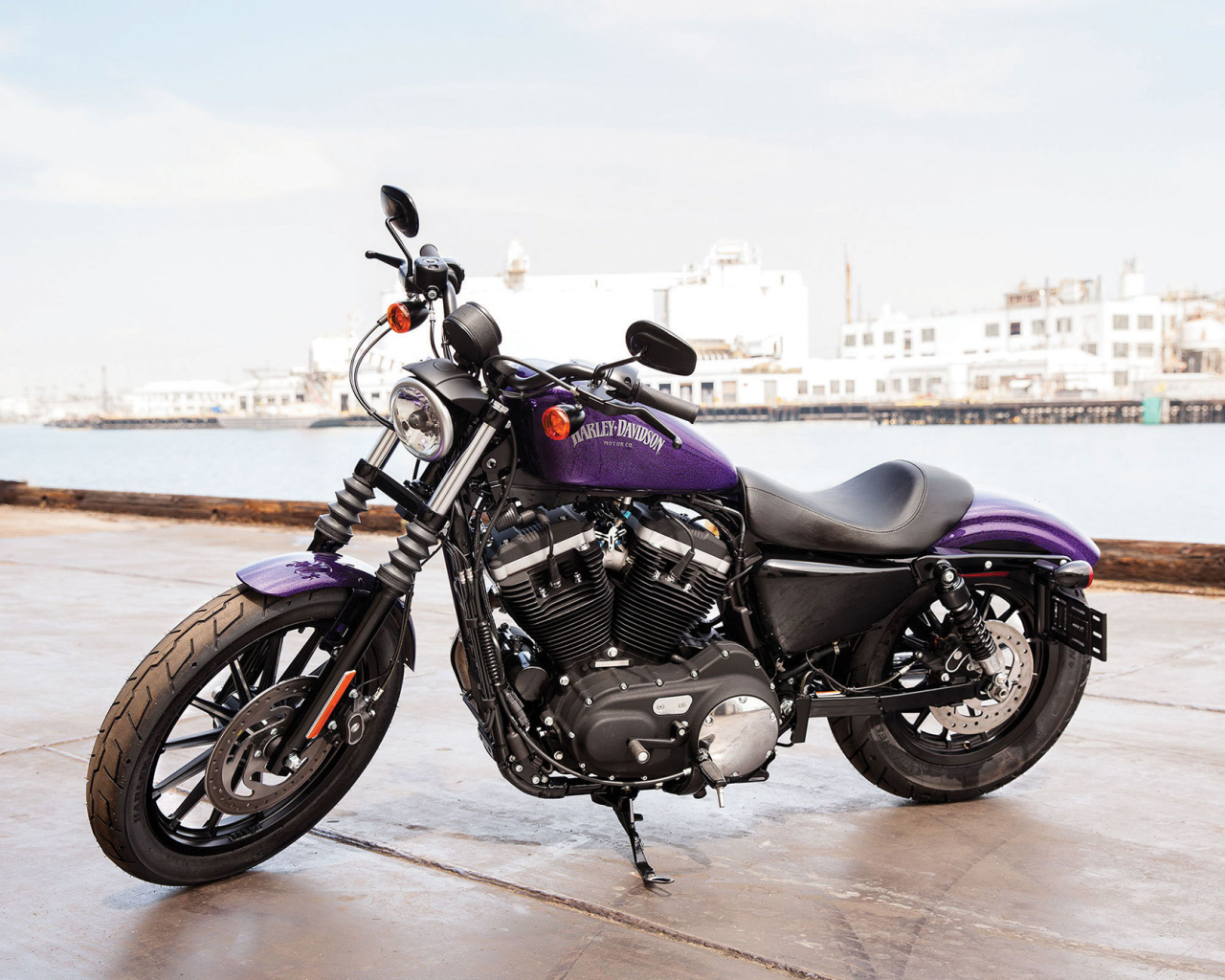 Новый мотоцикл на дороге Harley-Davidson XL 883N Sportster Iron
