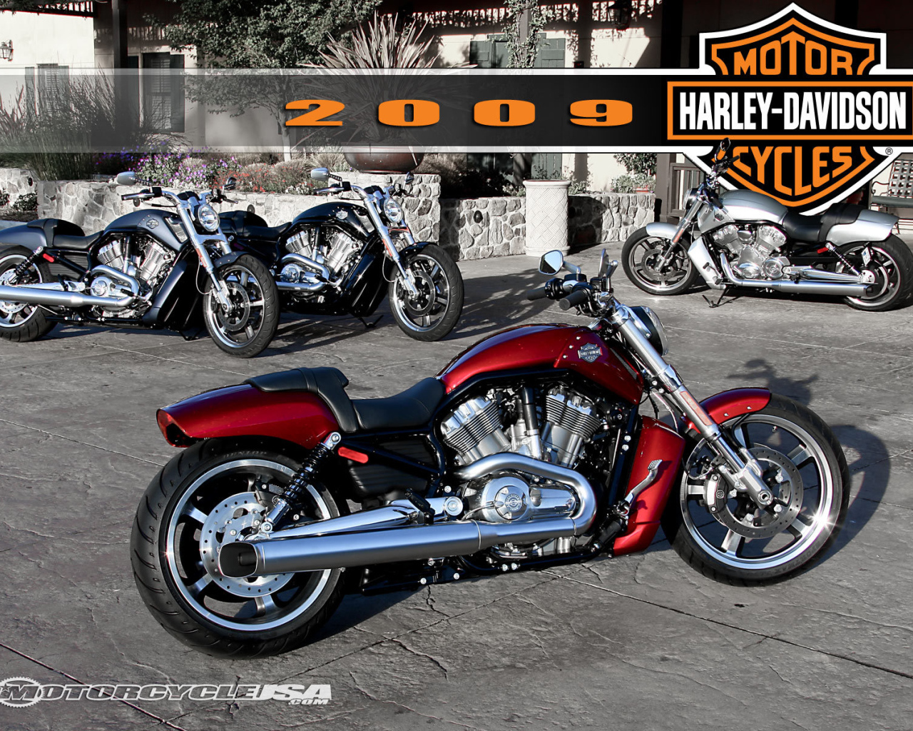 Новый мотоцикл Harley-Davidson V-Rod Muscle