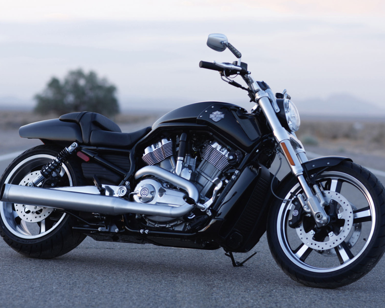 Популярный мотоцикл Harley-Davidson V-Rod Muscle