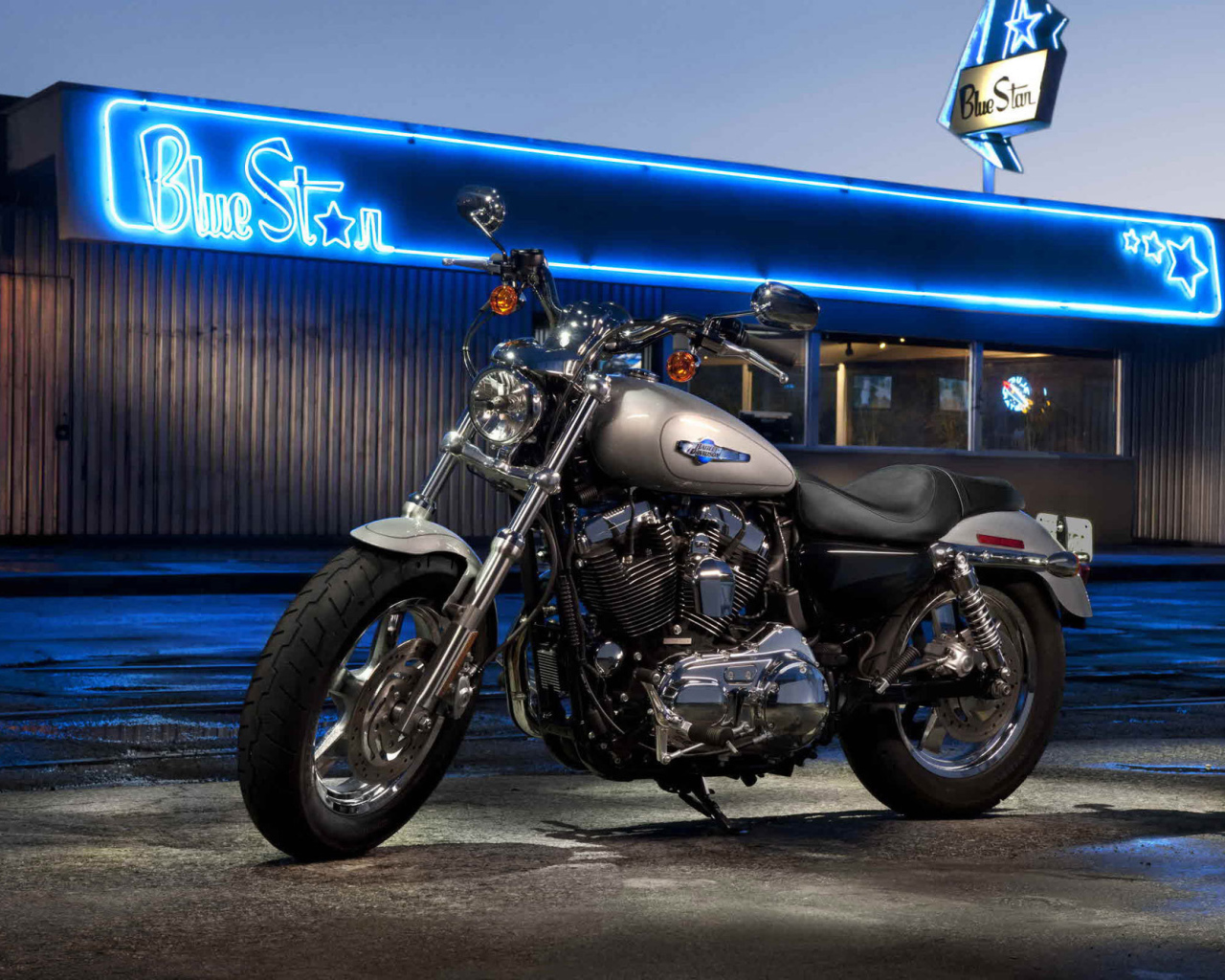 Надежный мотоцикл Harley-Davidson XL 1200C Sportster Custom