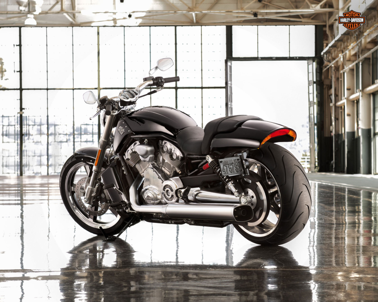 Тест-драйв мотоцикла Harley-Davidson V-Rod Muscle
