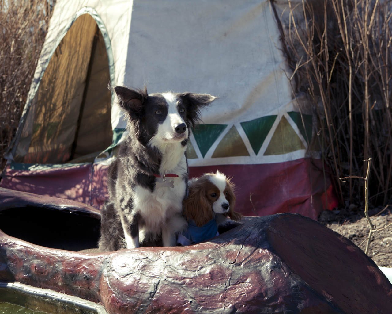 Герои фильма Ёлки лохматые 2014