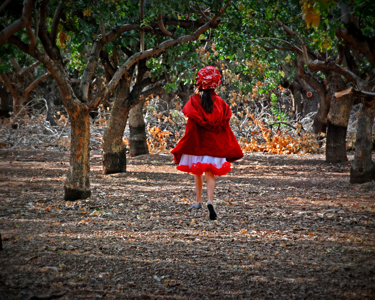 Фильм - В лес