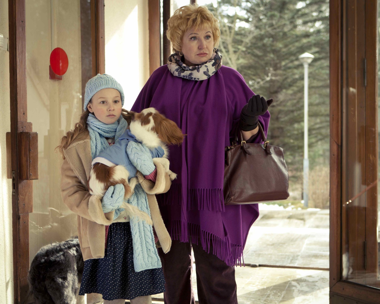 Фильм Ёлки лохматые 2014