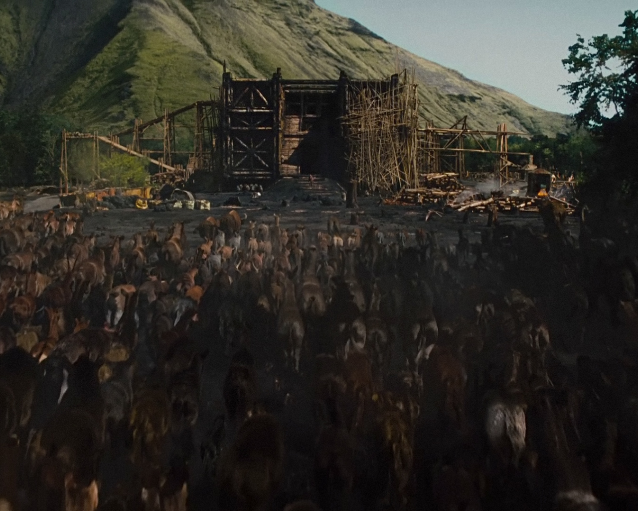 Ной постройка ковчега