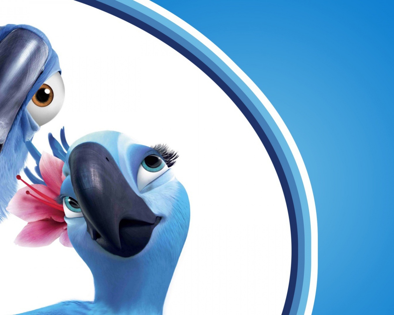 Рио 2 две птицы