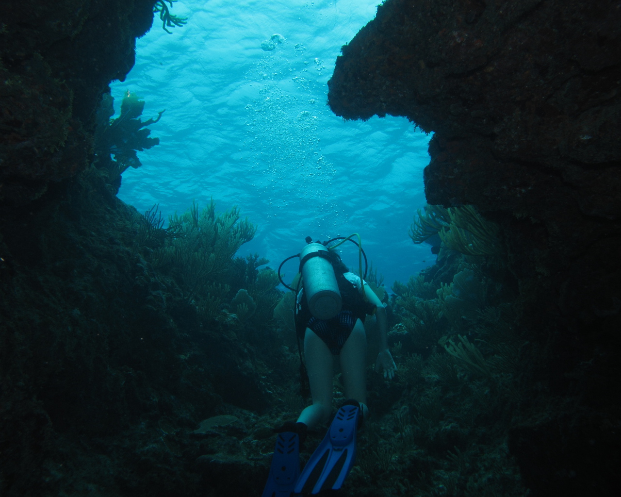 Тайна двух океанов