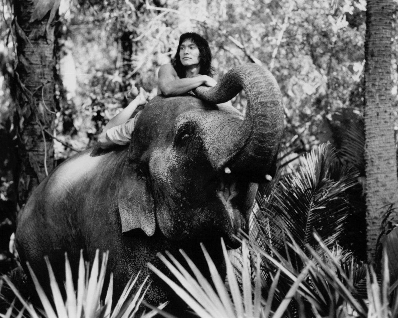 Книга джунгле