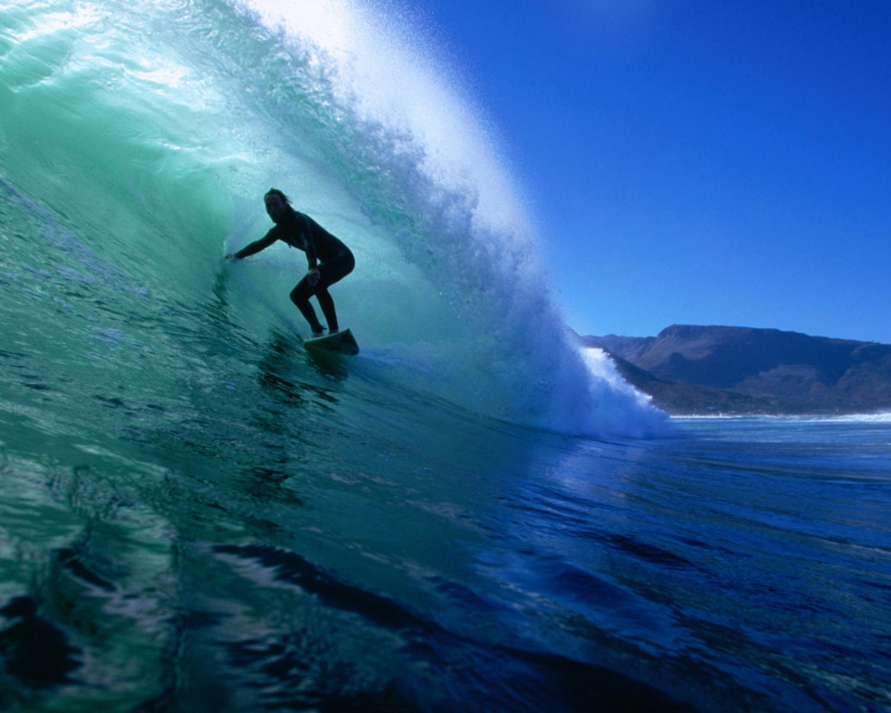   На гребне волны