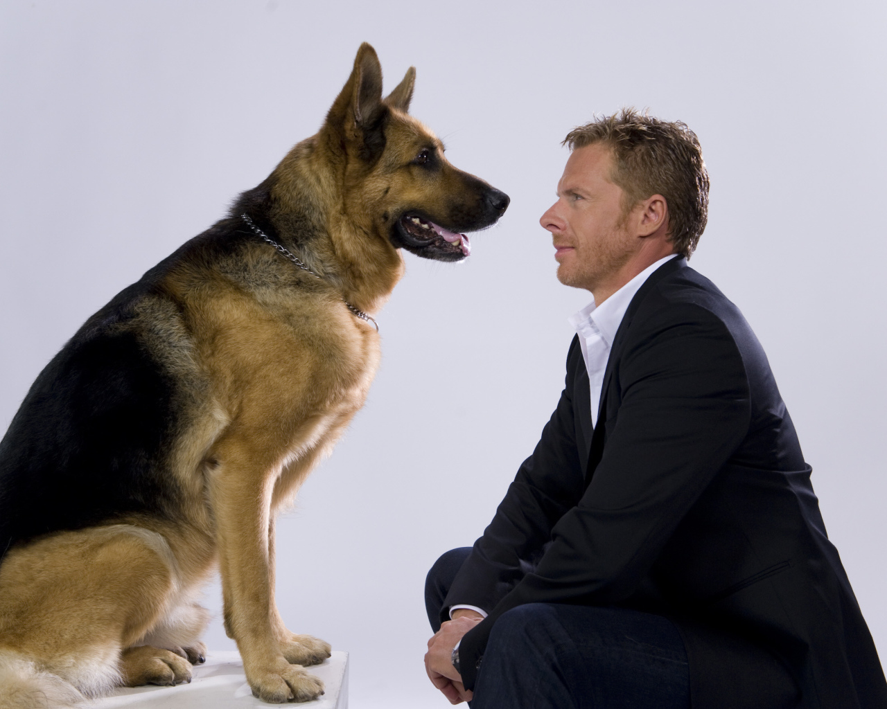  Комиссар Рекс