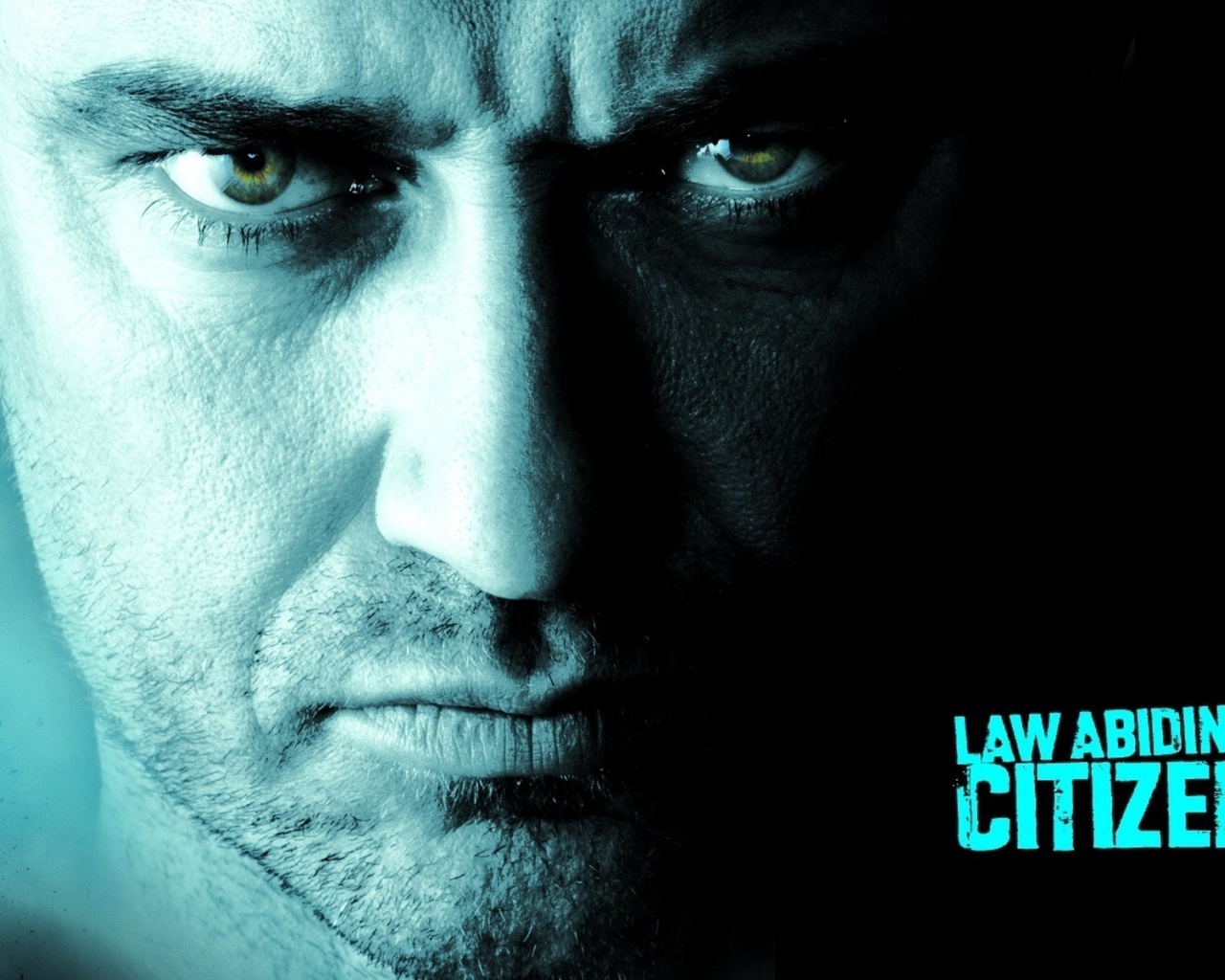  Законопослушный гражданин