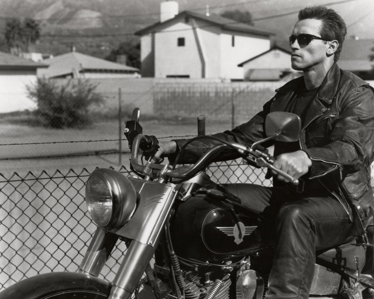 	   Terminator 2 judgment day-Arnold Schwarzenegger