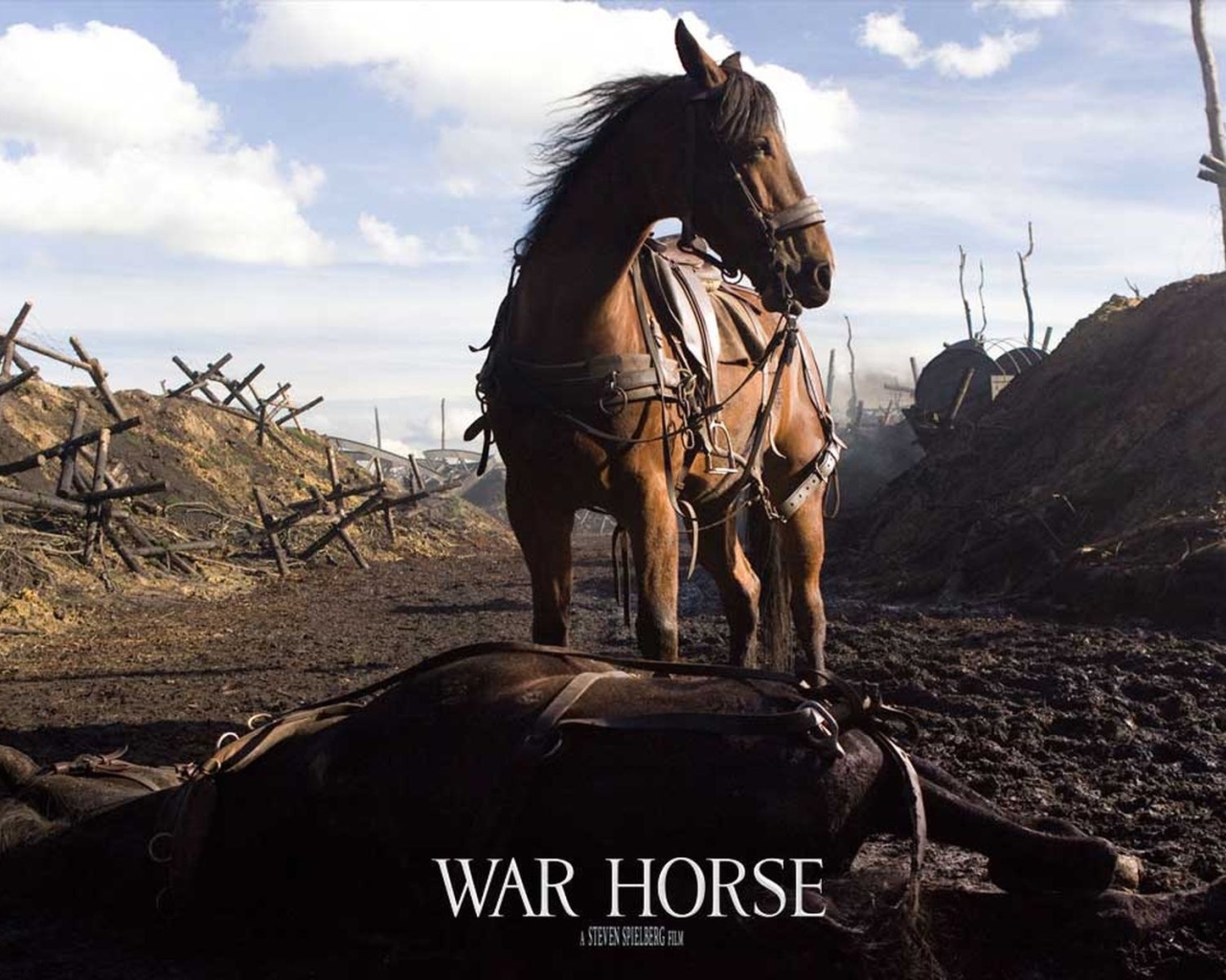 Боевой конь