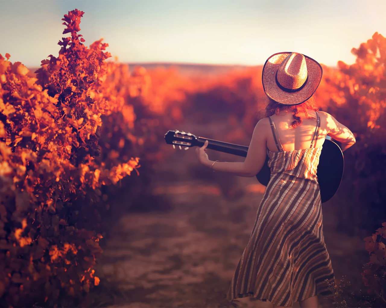 Девушка с гитарой в винограднике