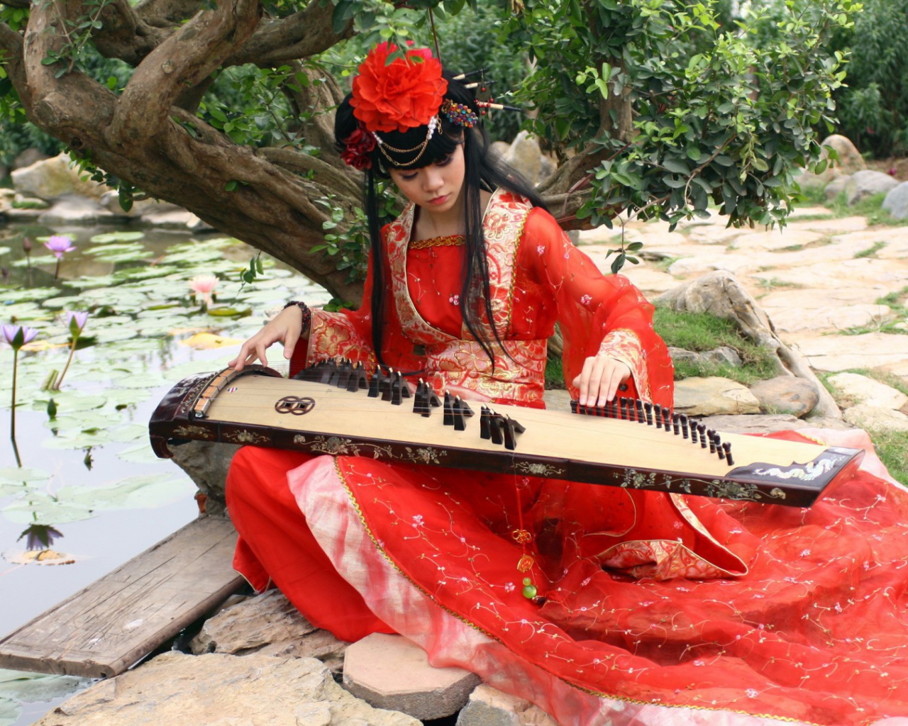 Утренние кувшинки под музыку