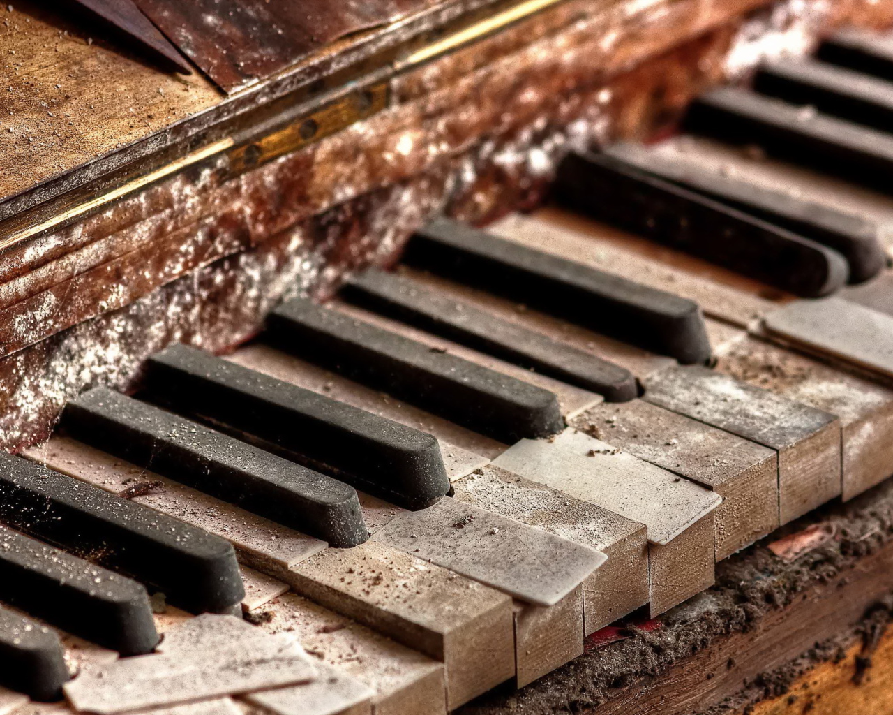 Старый гнилой рояль