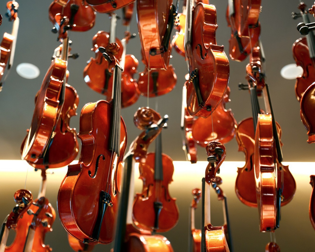 Дождь из скрипок