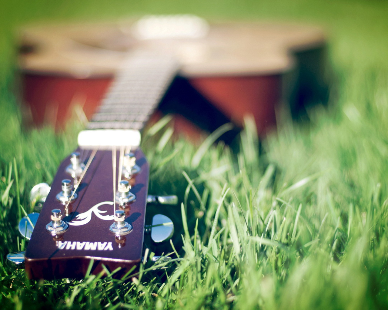 Гитара лежит на траве
