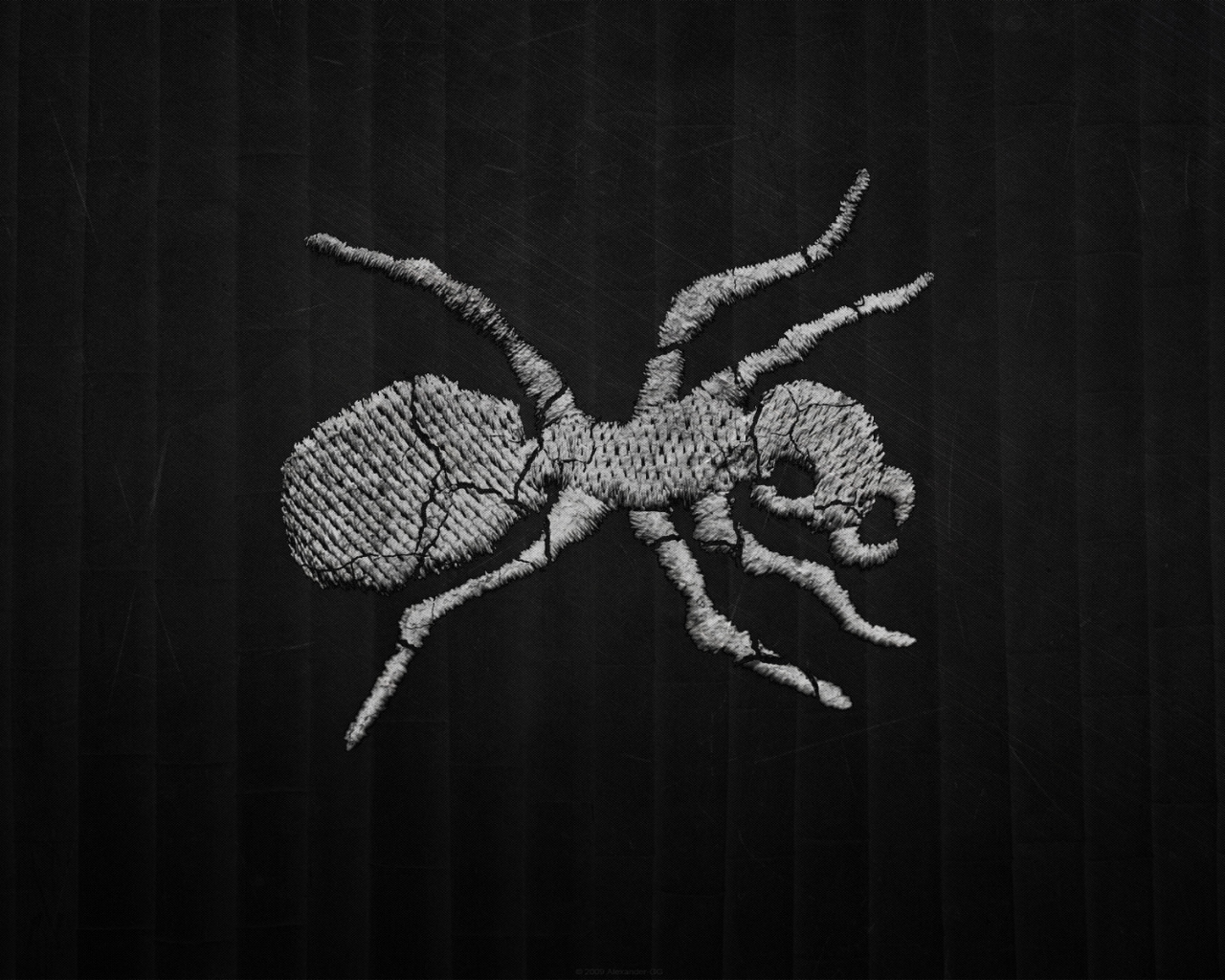 Муравей на темном фоне