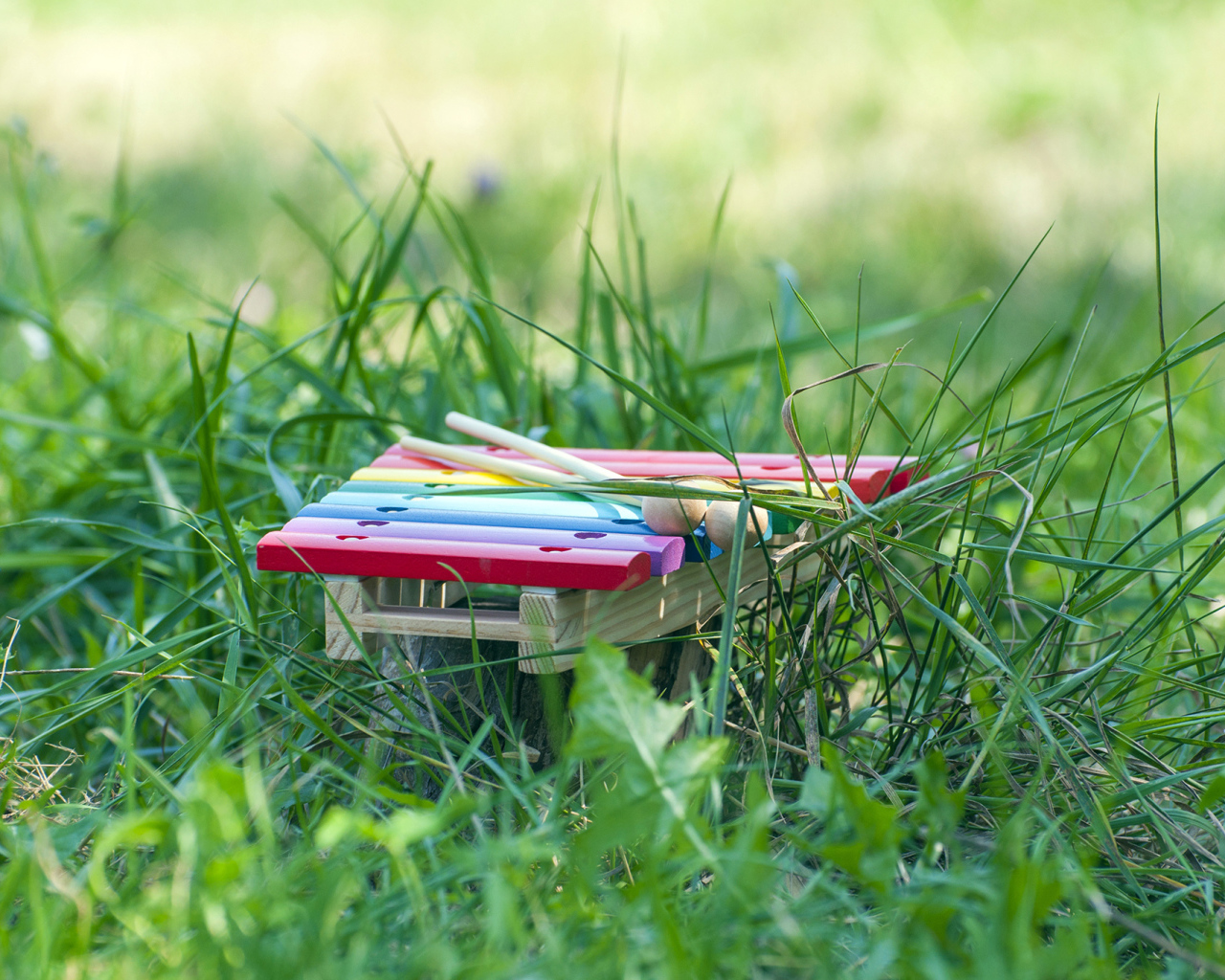 Музыкальный инструмент Маримба