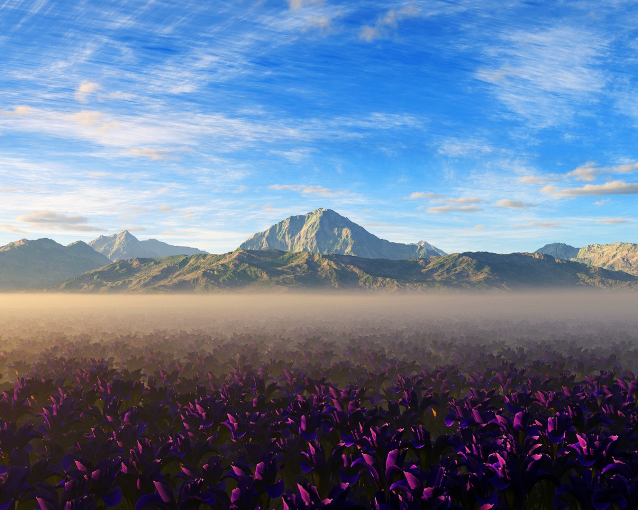 Цвета природы