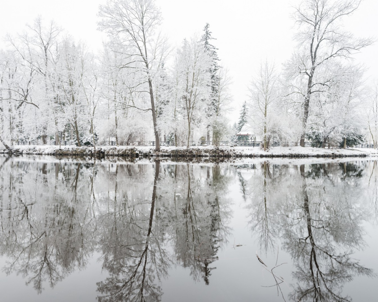 Oтражения деревъев в снегу