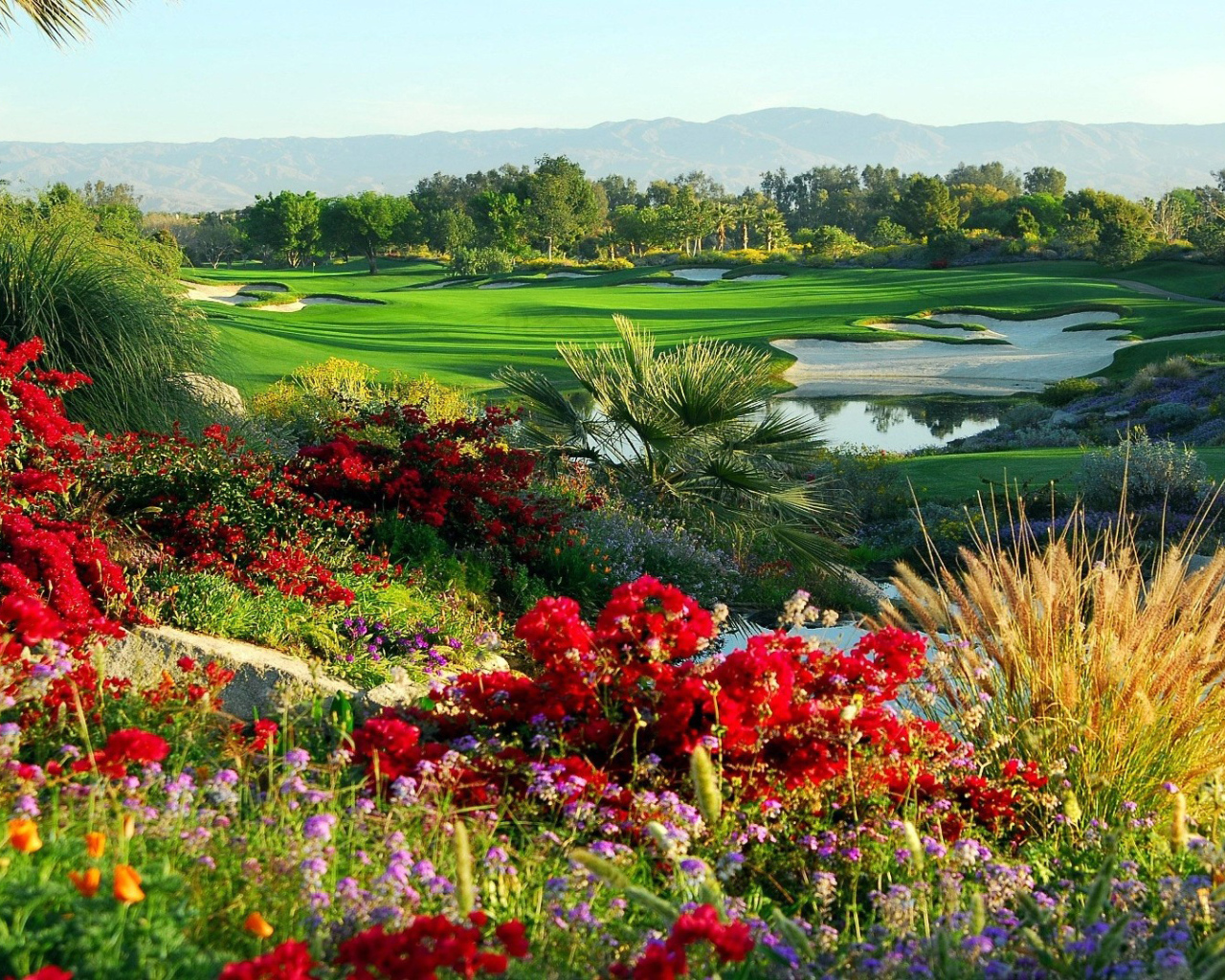 Сказочный сад