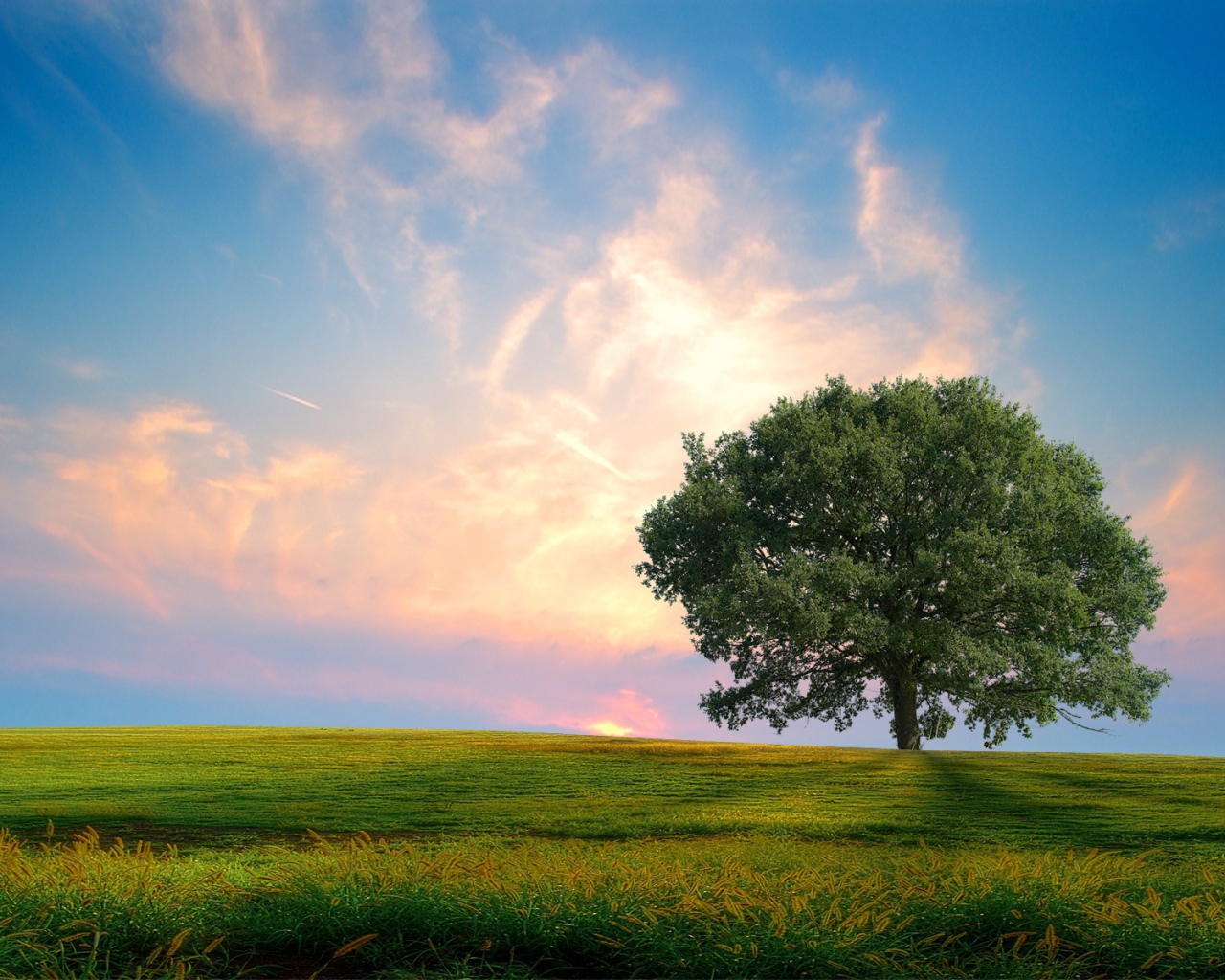 Свежая природа