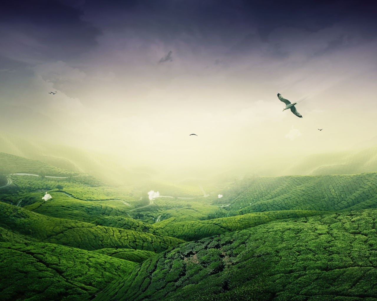 Зеленый пейзаж