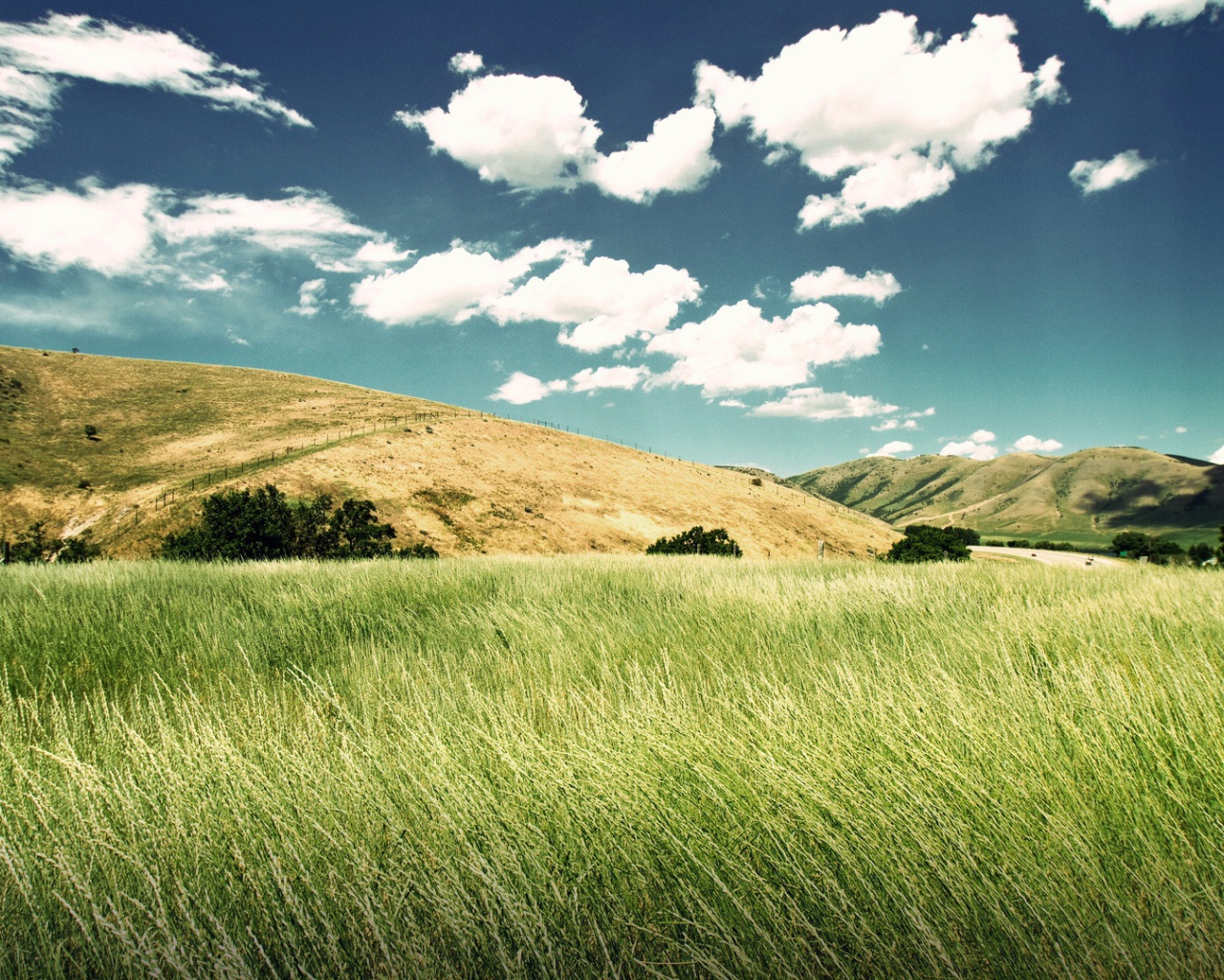 Зеленая долина