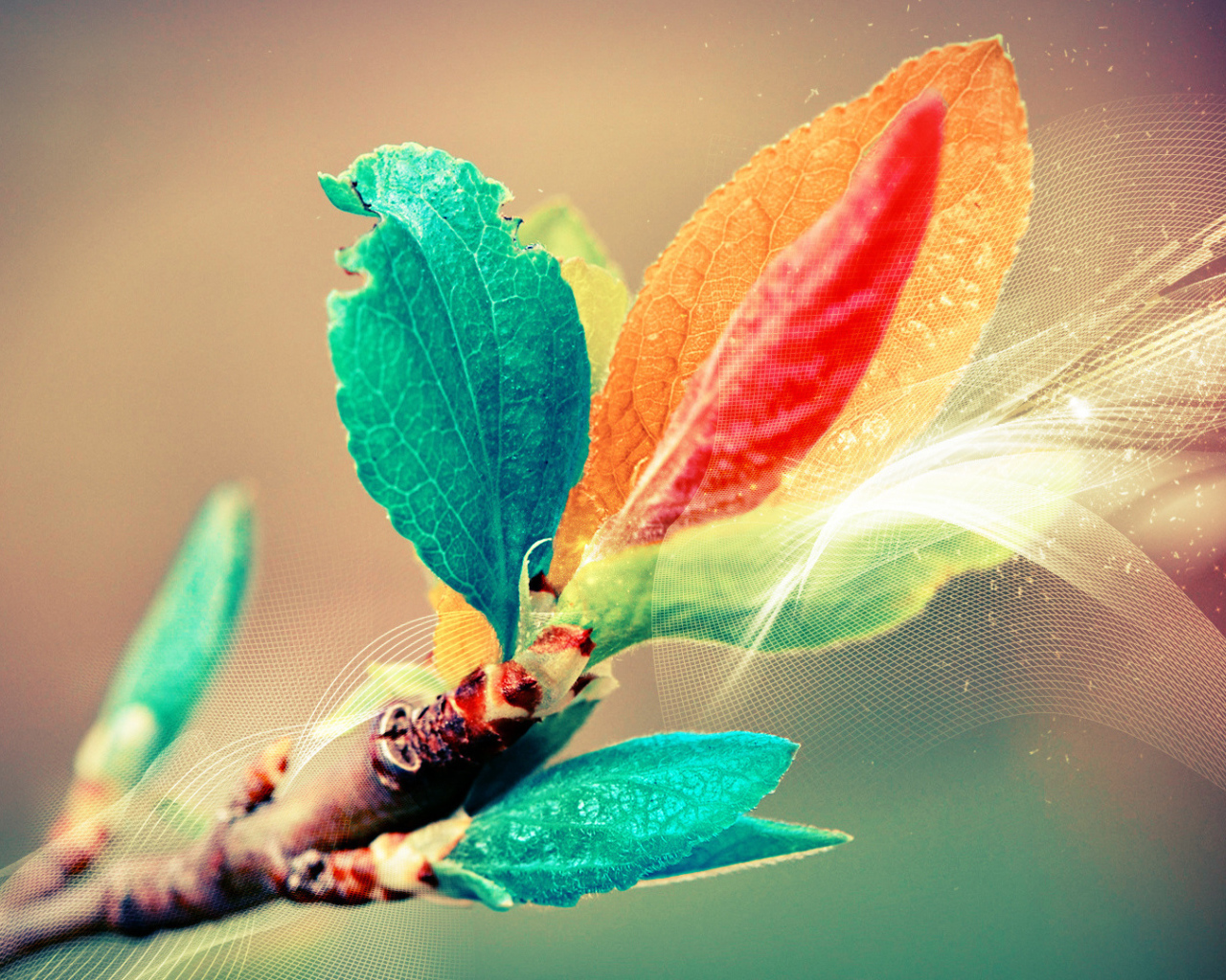 Листья в поляризованном свете