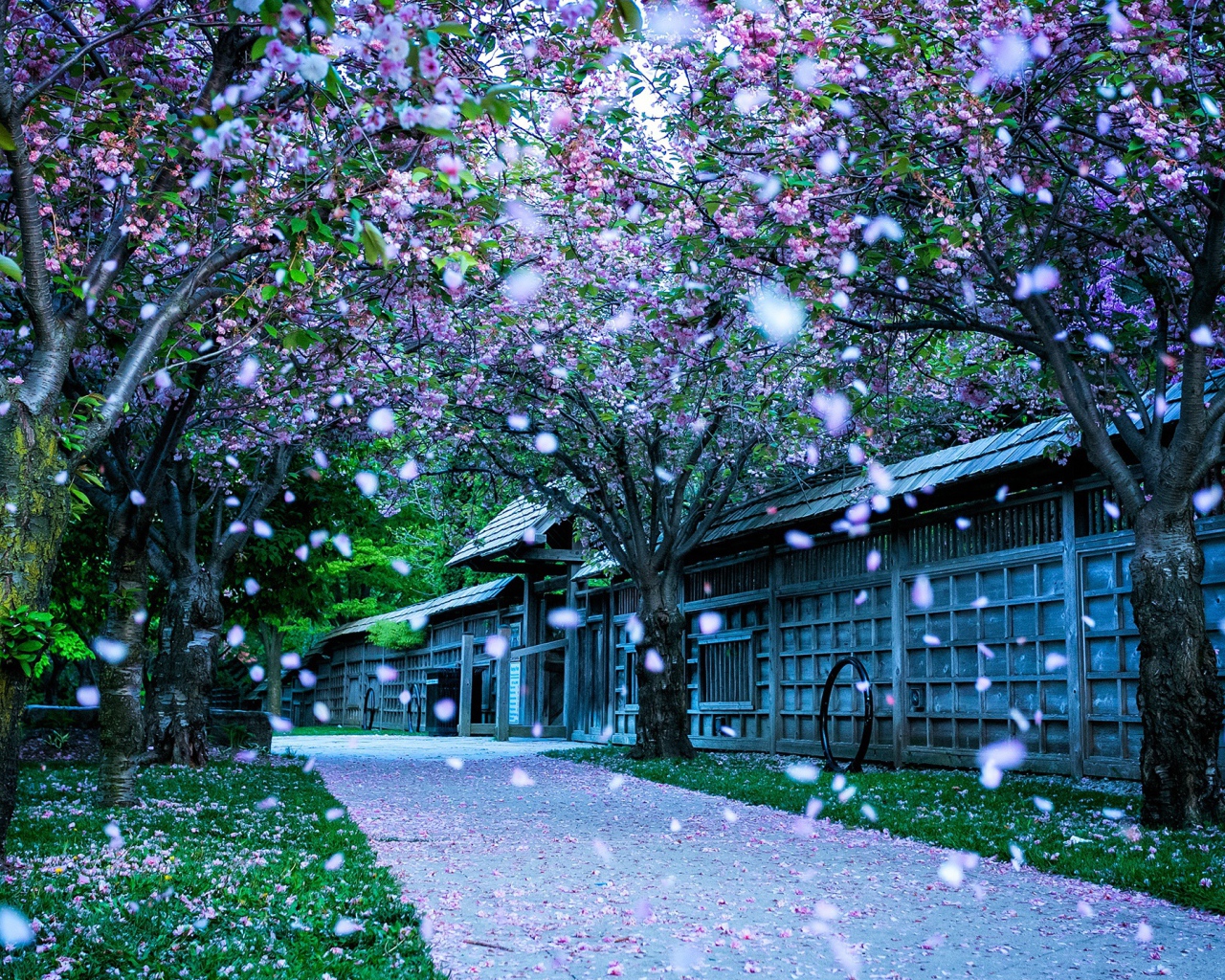 Парк в Канаде