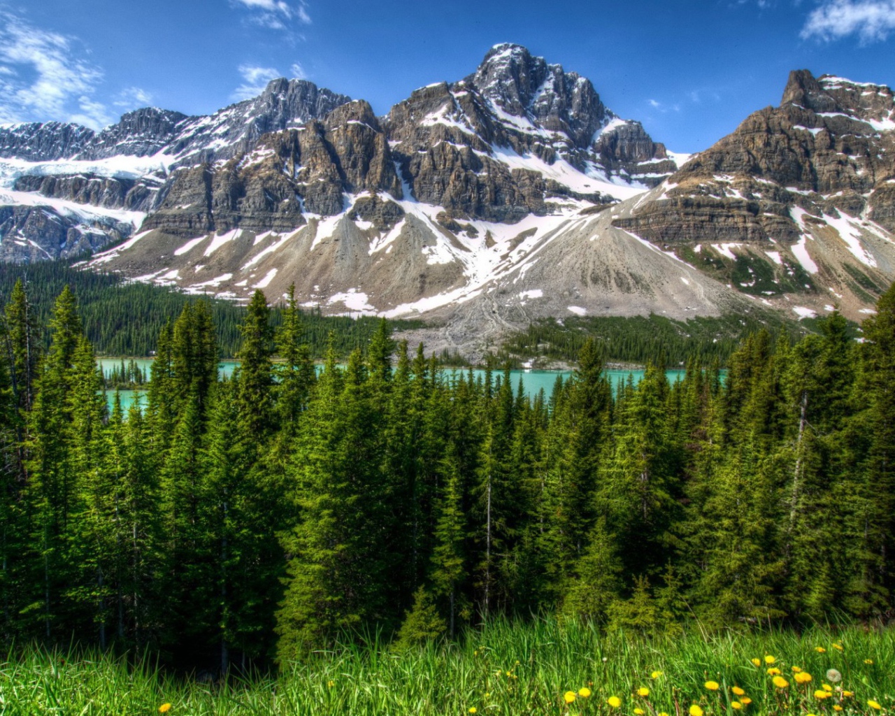 Вершины гор и одуванчики