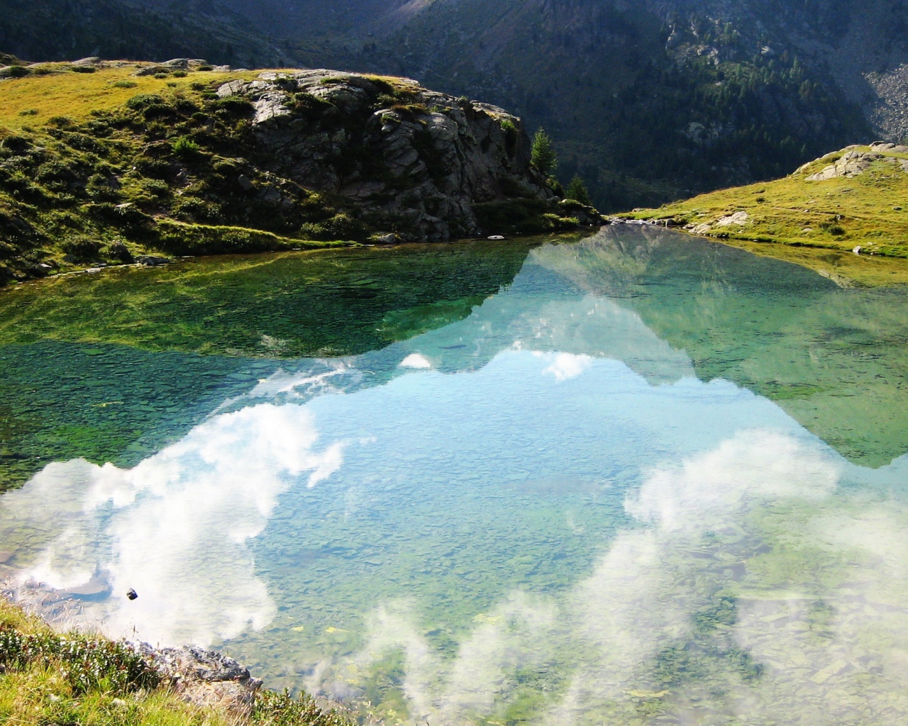 Размышления природы